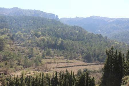 Apartament A Capafonts - "Ribatell" Esterno foto